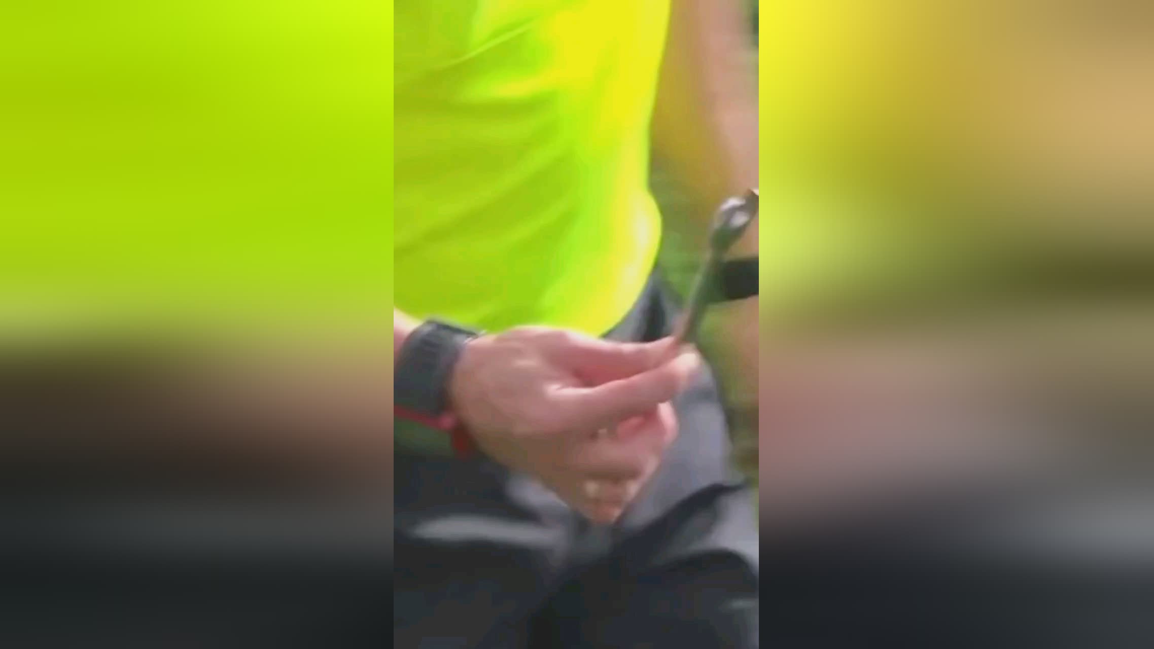 或许
